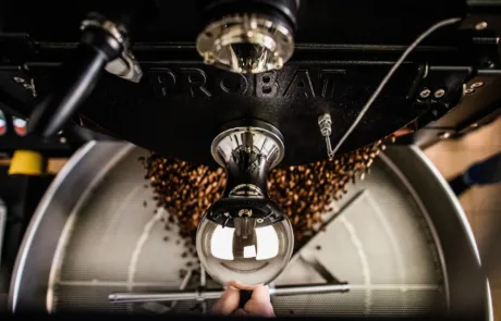 Boabe verzi pentru cafea de specialitate HauteCup AviGarden