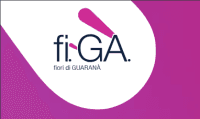 figafioridiguarana
